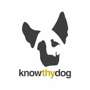 Saul-Creative_Know-Thy-Dog-Bozeman-Dog-Daycare1